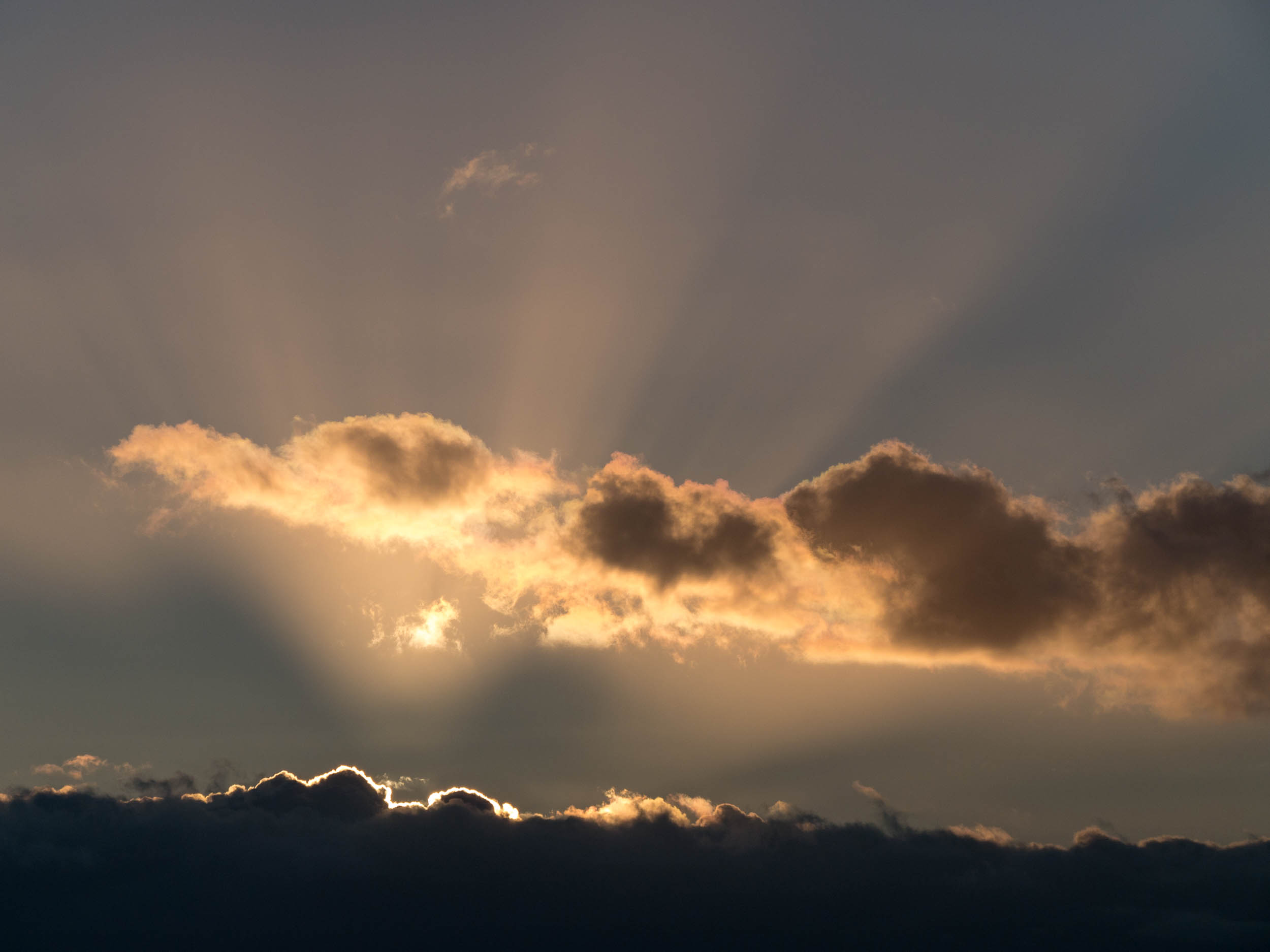 Dramatischer Sonnenuntergang am Deich