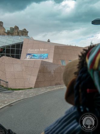 Der Zoo am Meer in Bremerhaven