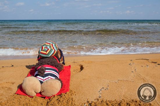 Strand(er)leben