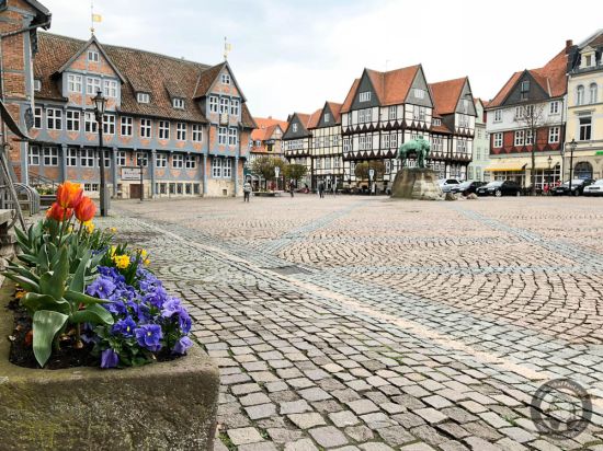 Ein (Markt-)Platz voller Möglichkeiten